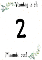 Baba Mylpaalkaartjies