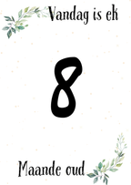 Baba Mylpaalkaartjies