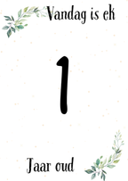 Baba Mylpaalkaartjies