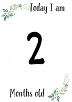 Baby Milestone Cards