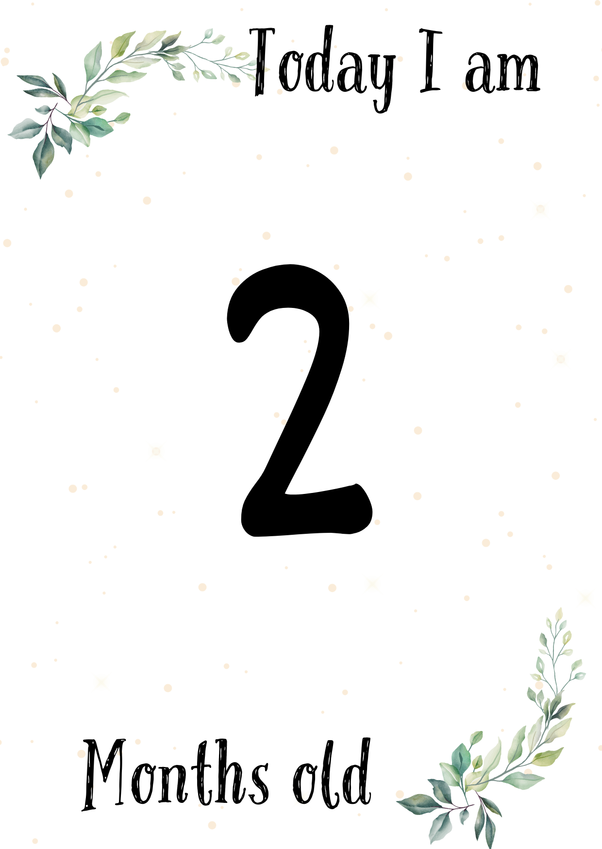 Baby Milestone Cards