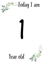 Baby Milestone Cards