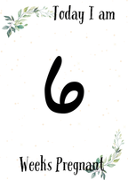 Pregnancy Milestone Cards