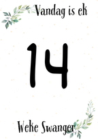 Swangerskap Mylpaalkaartjies