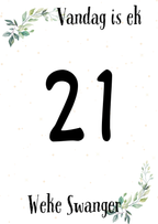 Swangerskap Mylpaalkaartjies