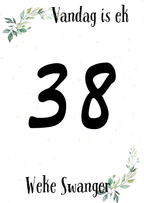 Swangerskap Mylpaalkaartjies